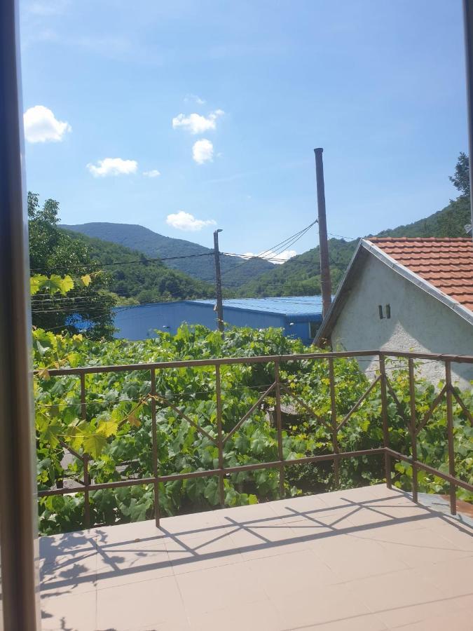 Casa Dina Hotel Herkulesfürdő Kültér fotó