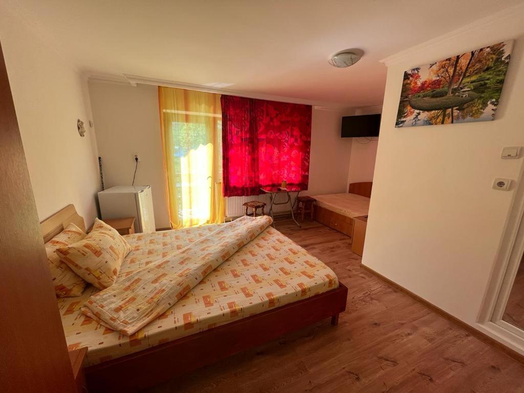 Casa Dina Hotel Herkulesfürdő Kültér fotó